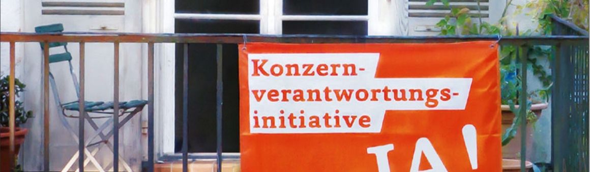 Mitgliederversammlung der jungen Grünliberalen Luzern 14.11.2020